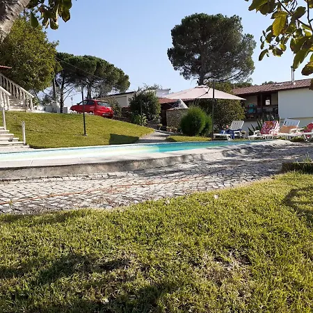 Jantesta Коимбра