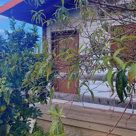 Casa de hóspedes Jantesta Coimbra