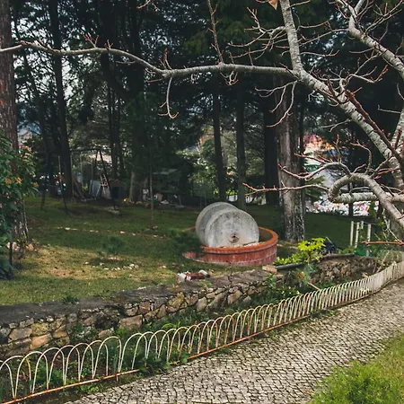 Jantesta Гостевой дом Коимбра